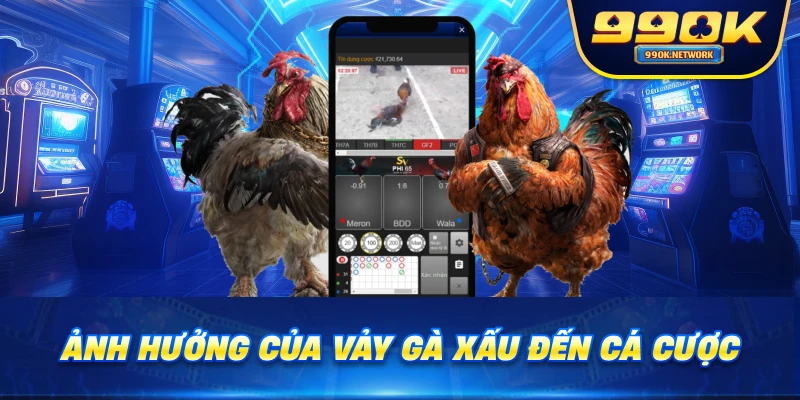 Ảnh hưởng của vảy gà xấu đến cá cược