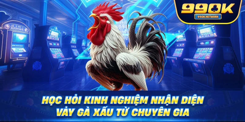 Học hỏi kinh nghiệm nhận diện vảy gà xấu từ chuyên gia